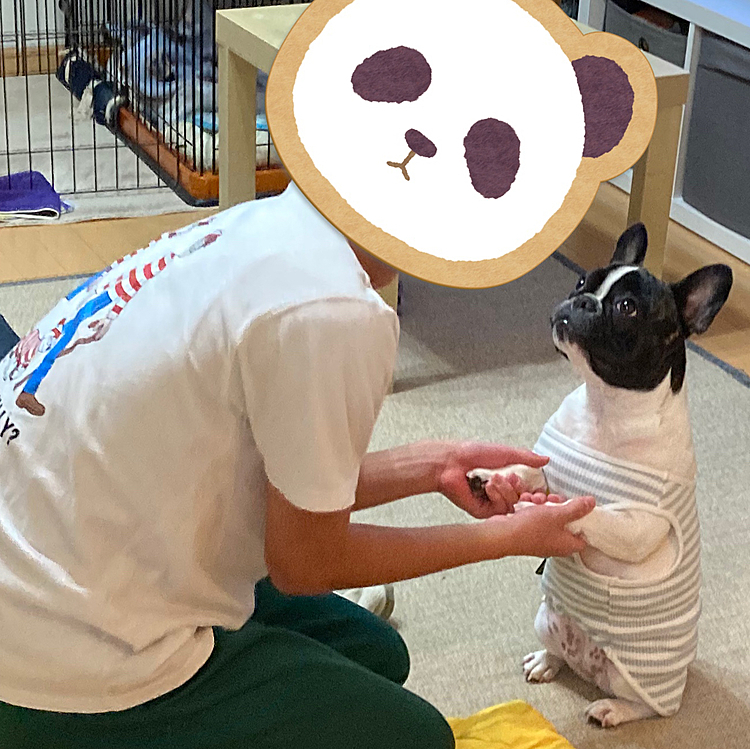 息子と見つめ合うおんちゃん笑笑
足かわいい💕