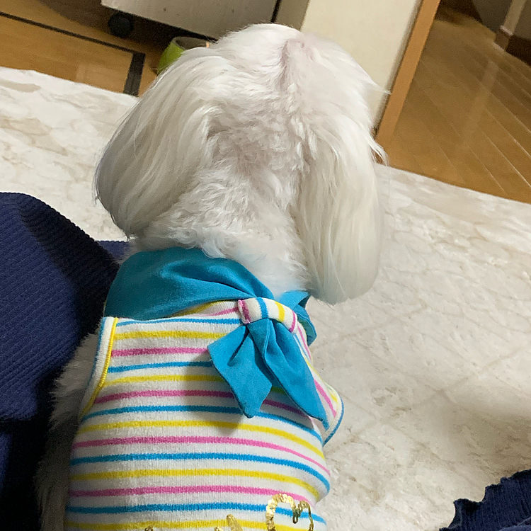 何故かこの服
脱がさせてくれません🥹