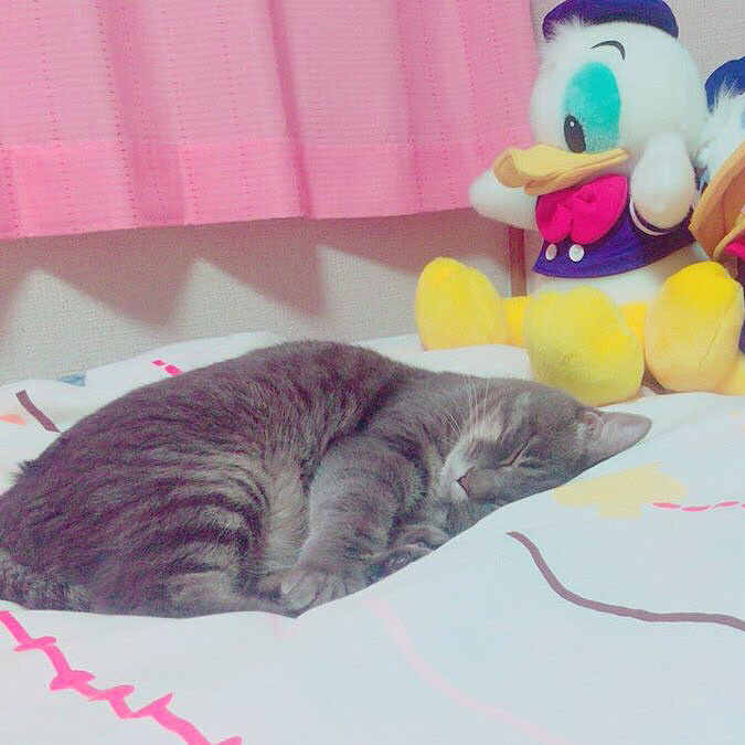 ドナルドと！