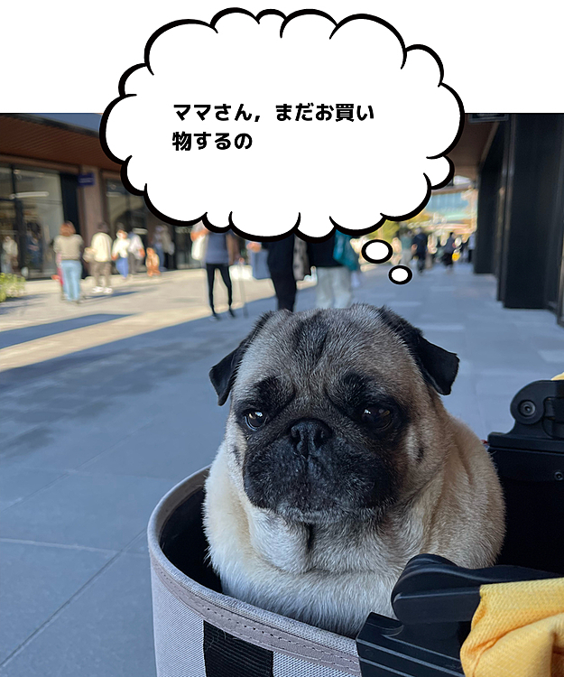 先月オープンしたアウトレット行ってきました🐶