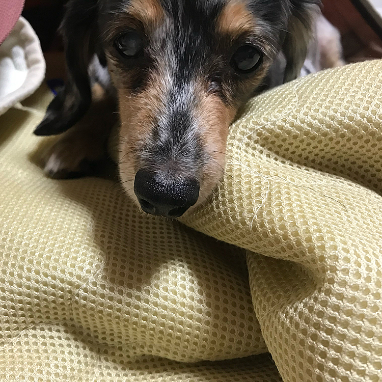 かんわいいんだから〜😅💓