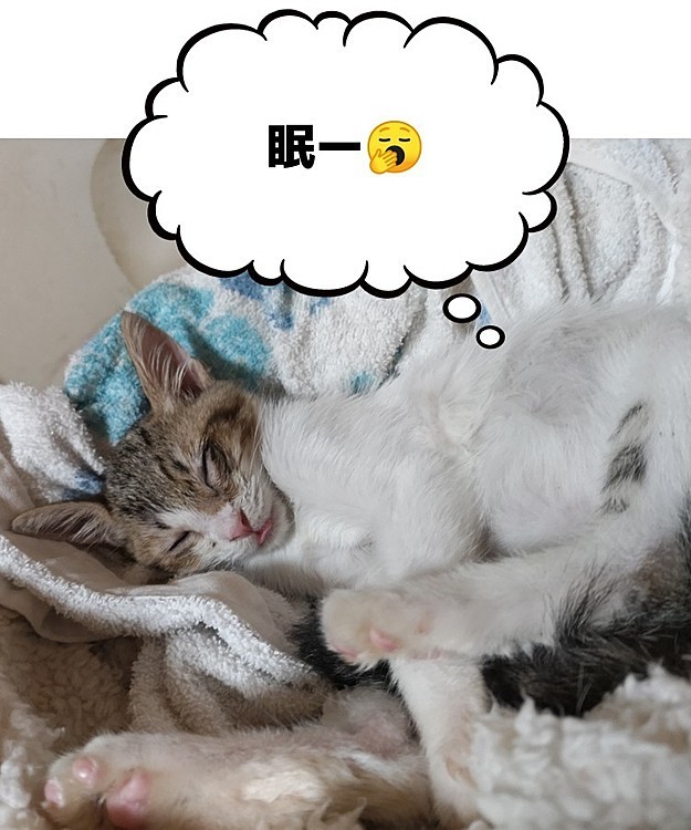 そらの投稿