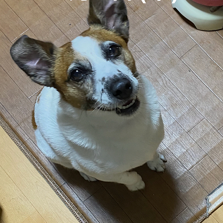 随分前の待ち受け画面に使った写真以外に、いいなと思える写真が撮れない