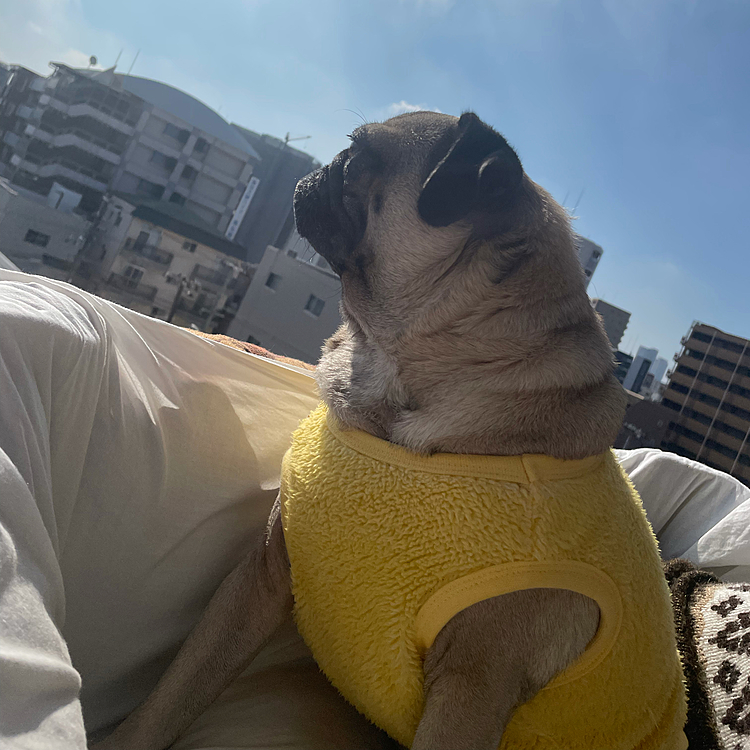 日向ぼっこ🌻💚💛✨💫