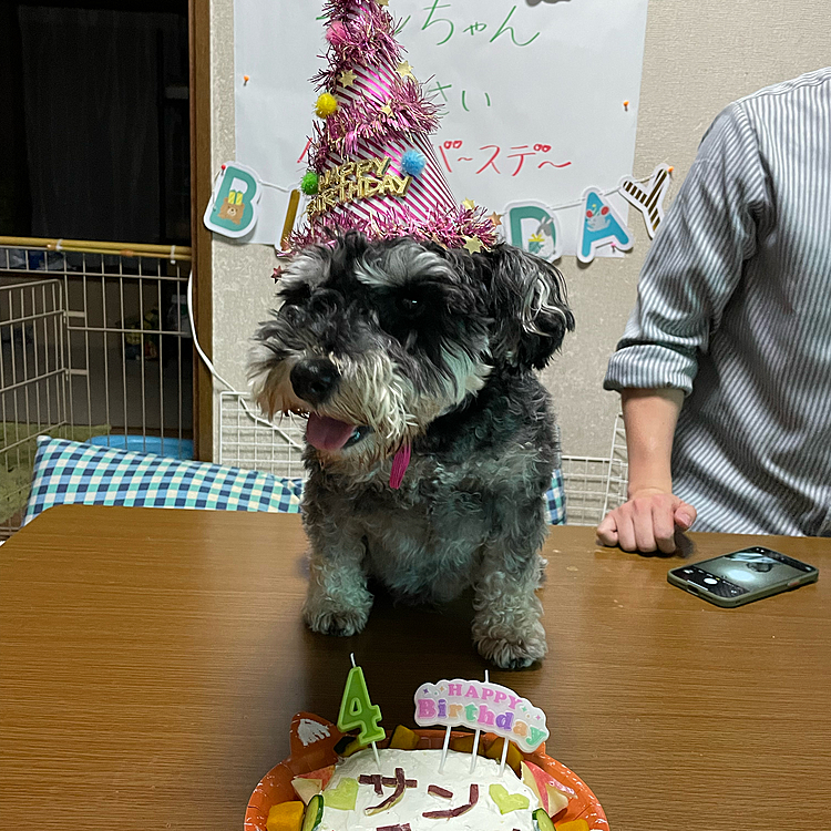 テーブルに乗っちゃいましたー🤣
