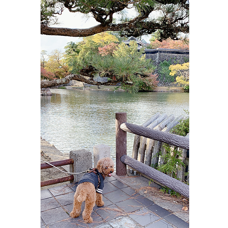 松江城のお堀。