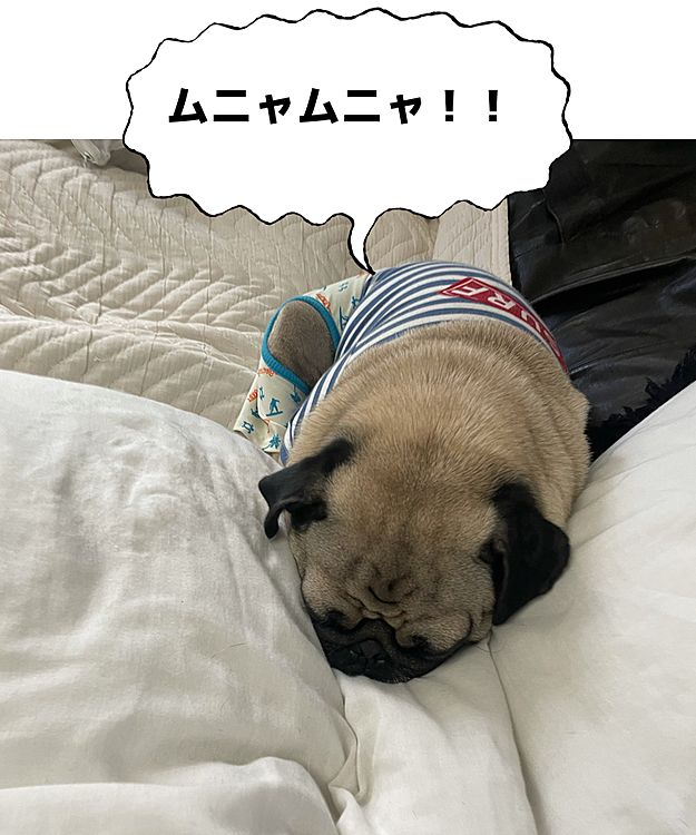 💤😴