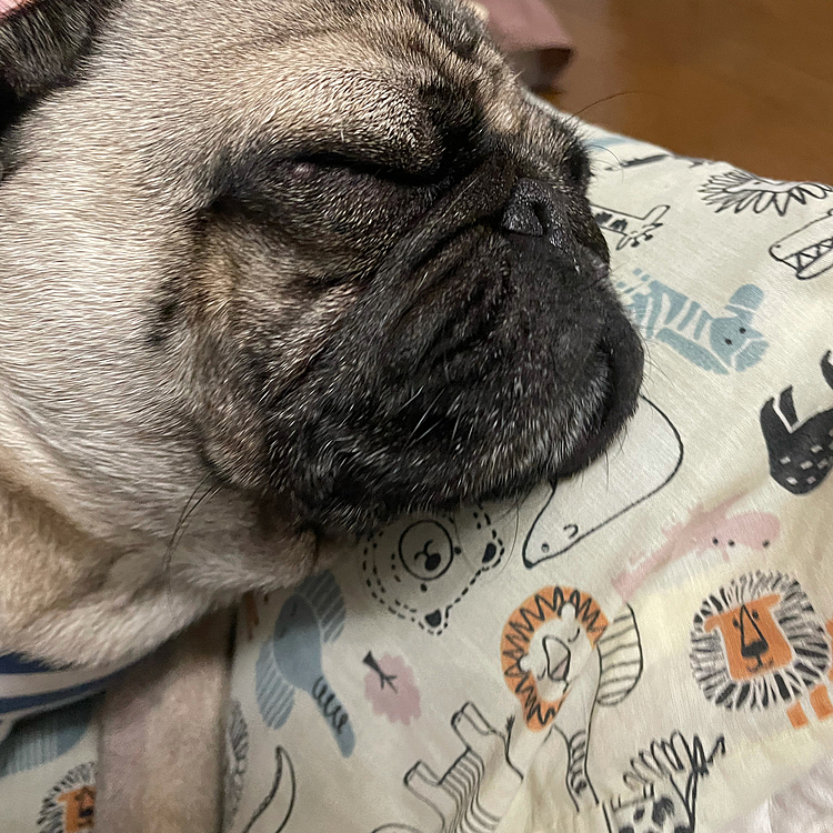 ムニャムニャ💤😴