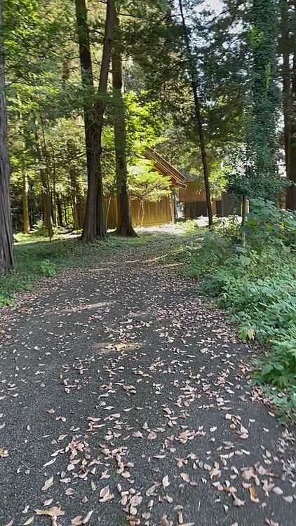 神社の裏でガサガサ、どんぐり探索です🌰
まるでトリュフ探しの🐽🤣🤣🤣
