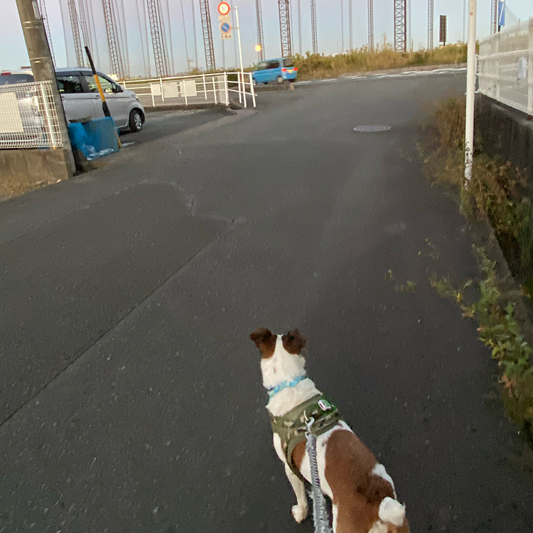 5時だというのに、薄暗い！
でも、大きなお月様が、、😍
お陰で真っ暗じゃなかった👍