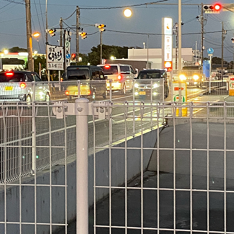 散歩道の途中、今夜は、皆既月食見れるかな？