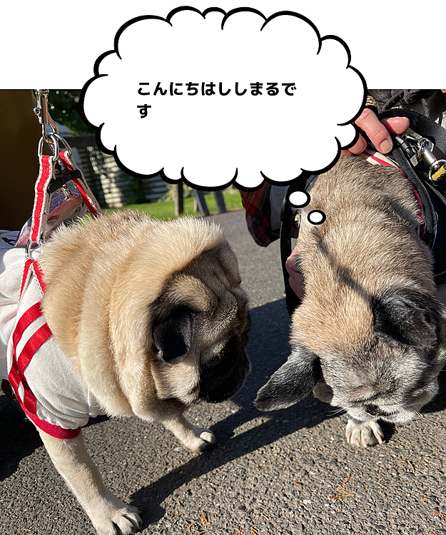 ししまる長生きの元気もらってきました☺️