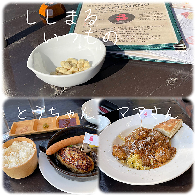 ランチはいつも通り、ししまるはカリカリ持参です🍙j