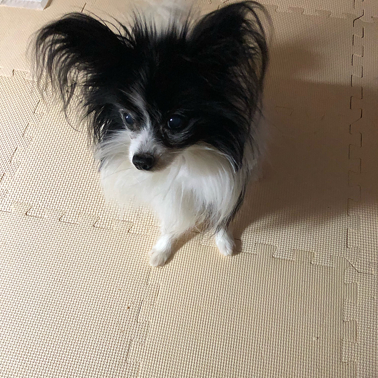 ran99の投稿