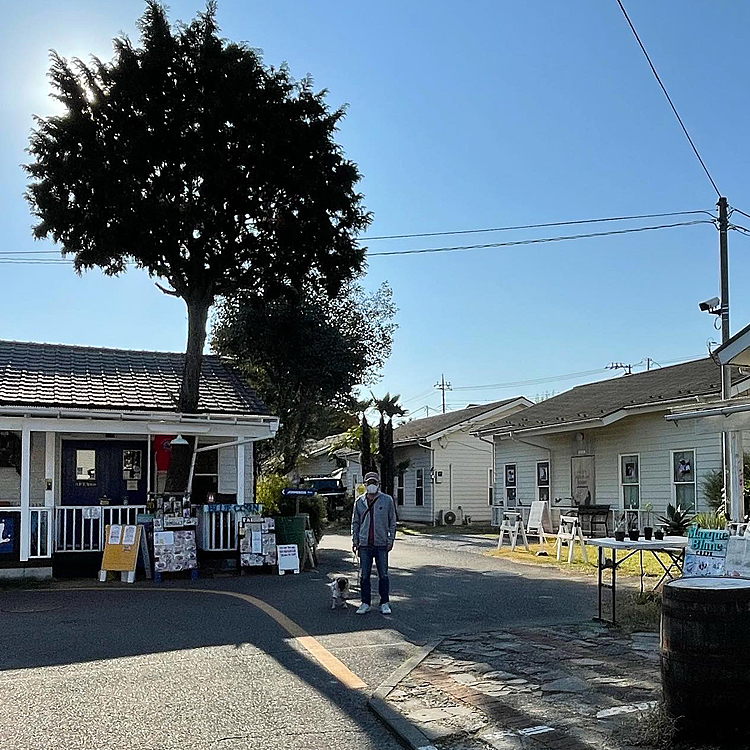 秋晴れのジョンソンタウン🇺🇸