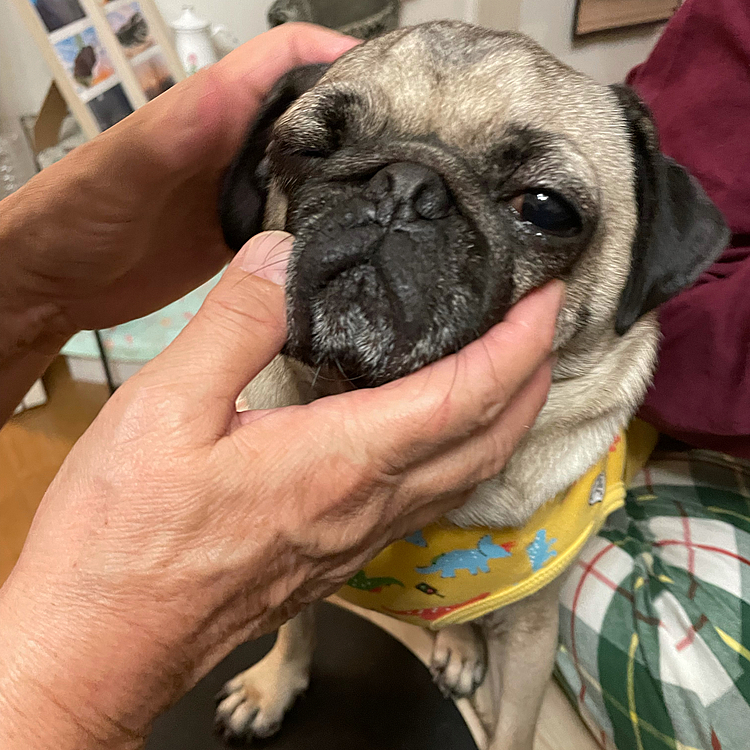 こんにちは🌞😃！