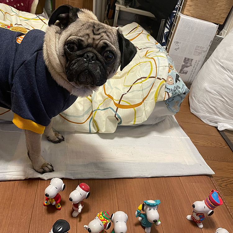 SNOOPYと僕🐶💚🐾✨
