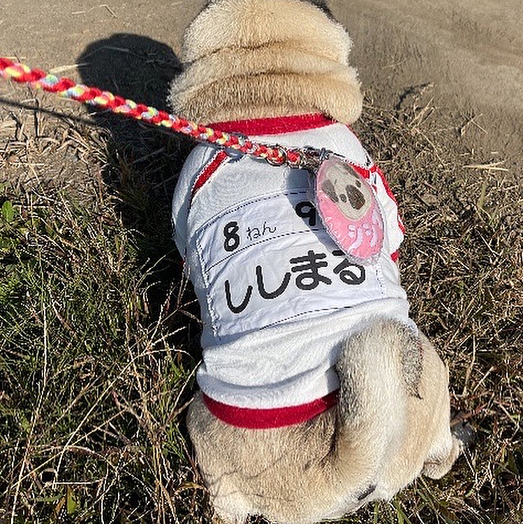 シッコすっきり💦