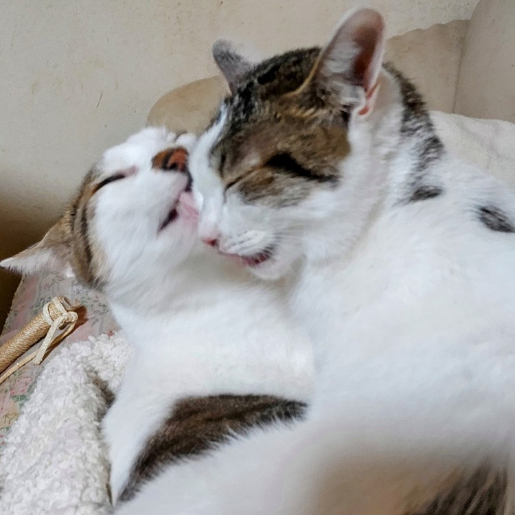 イチャイチャ♥️中