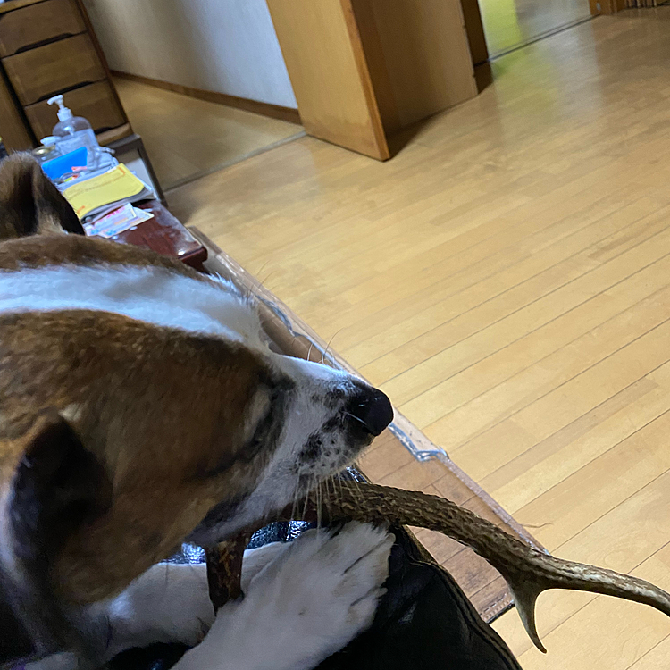 怖いから、あちこち持ちあるかないで‼️