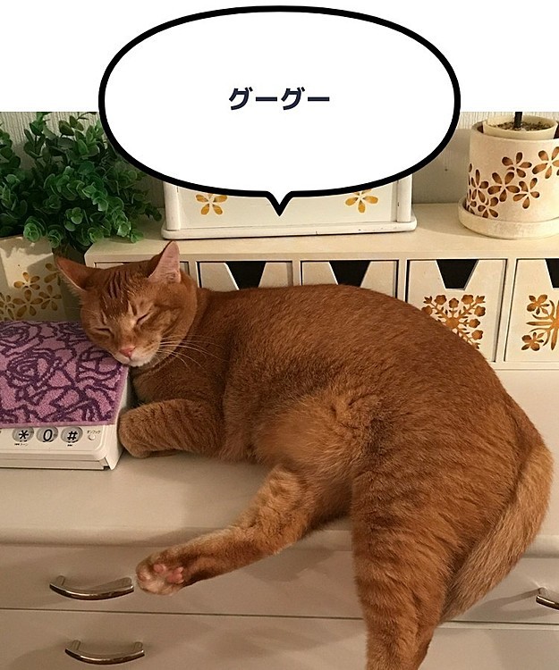 ます0802の投稿