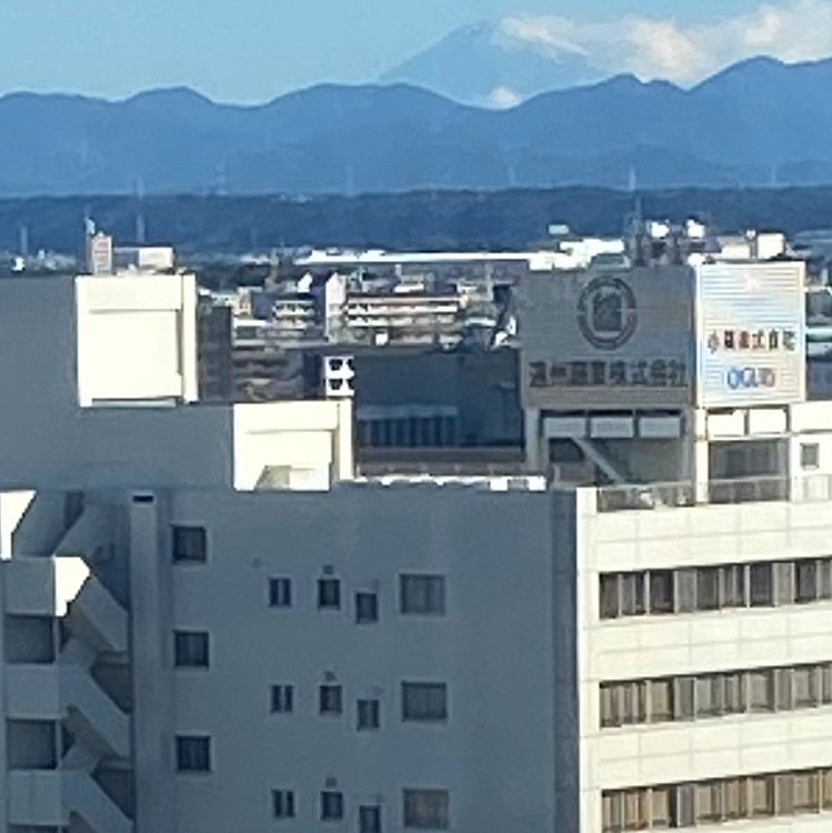 また、ズームしてみた