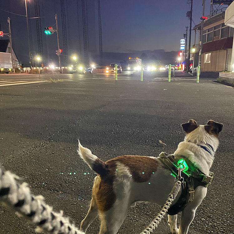 5時は、すっかり暗い
歩道が広い為、自転車が、スピードだして走り抜ける