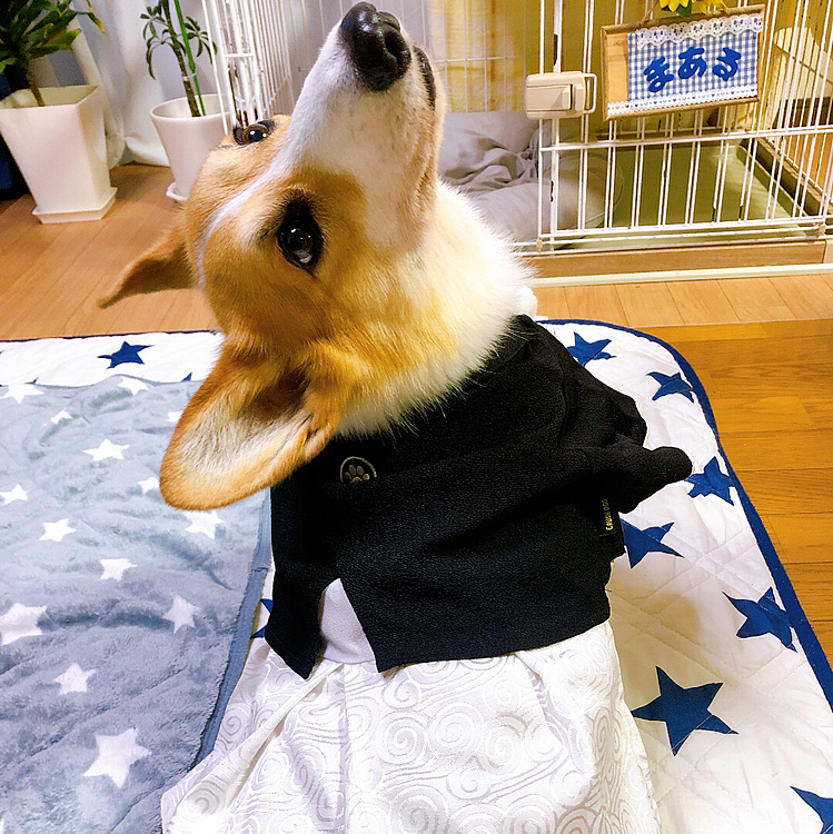 全然面白くない。。
早くおやつくれよ。。