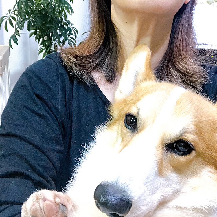 勘弁してくれ。。💦

子供の成長願うものだから大事なんだよ❣️

現在、ふて寝中〜🤣🤣🤣