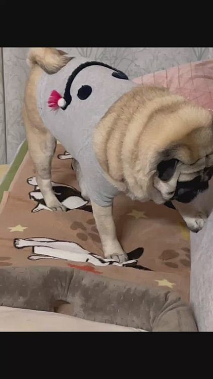 ソファほりほりからのおねだり目線👀