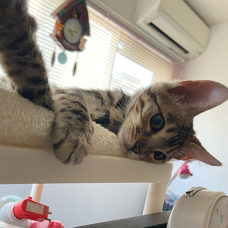 きょんの投稿