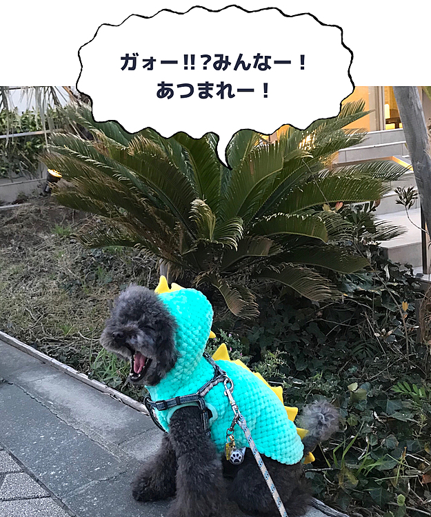 イヤイヤ💦 集まらないから…😅
また明日だね…😓
KOAごめんよ〜❗️と心の中でひたすら謝る
かーちゃんでした🙇♀️