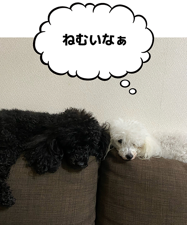 オーナー3301の投稿