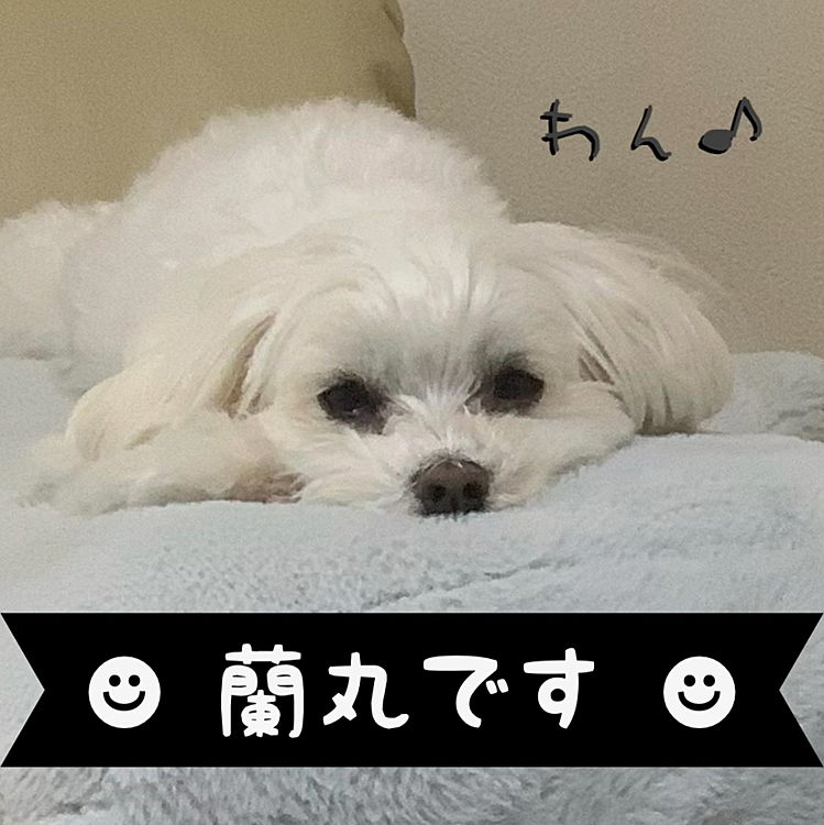 とあるアプリ使って
この画像を待ち受け画面に
してみました。
はい、自己満です😁