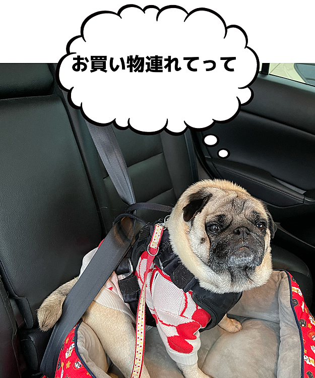 早速ホームセンターへお買い物🚗