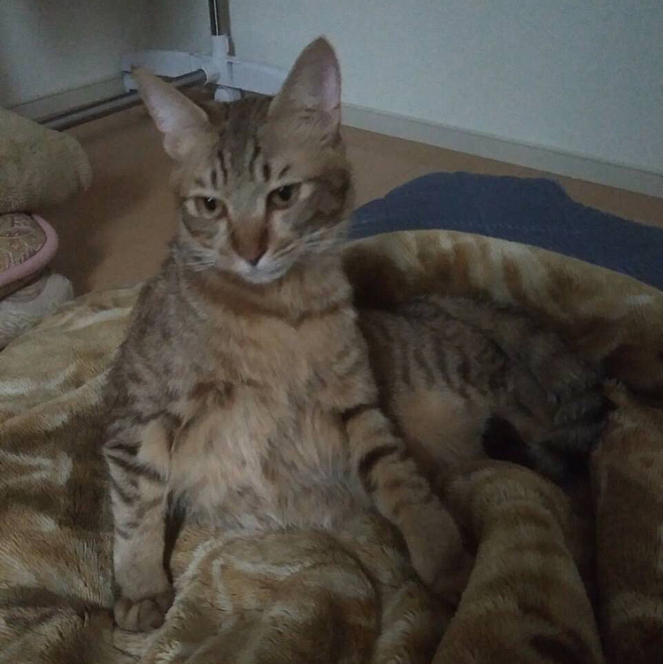 すごい体勢（笑）