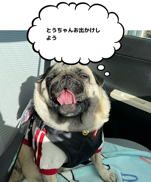 ママさんお仕事なので、とうちゃんと二人のお出かけ🚗
