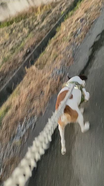 さあ!💩も、取ったし、走って帰ろ😊