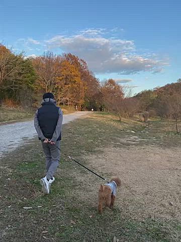 日曜日はまた近所の里山散歩🐾
芝生広場は若者達がサッカーしていたので奥の誰もいない場所でまたママとパパを行ったり来たり何往復もダッシュ💨
そろそろリード付けようとしたらパパを交わしてこの表情😊
たくさん遊んだのでオヤツタイム☕️
ハッピーはお芋さん🍠