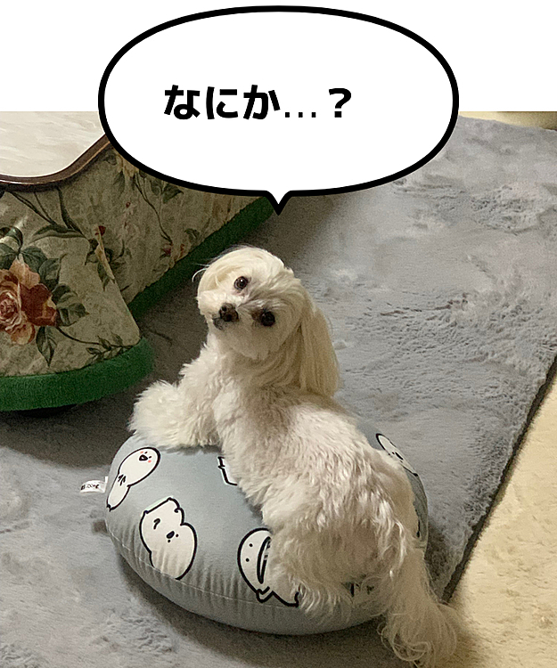 ねぇやんの投稿