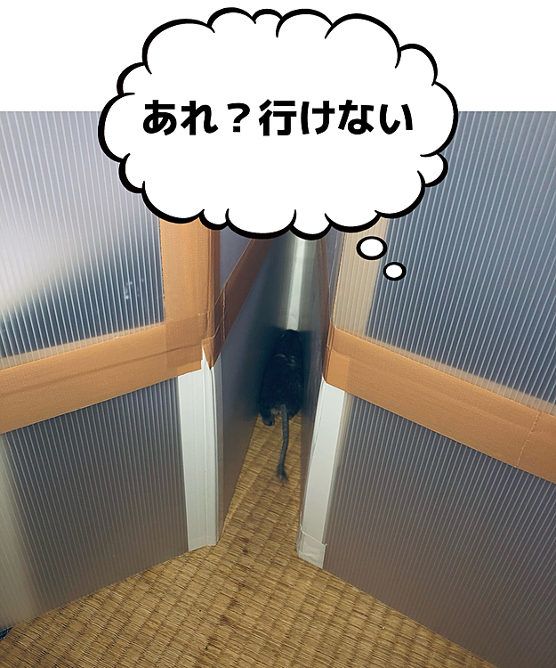 レオくん。そっちは行き止まりです