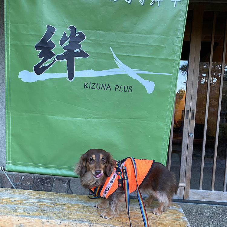 伊豆シャボテン動物公園から移動して宿泊先は修善寺絆プラス