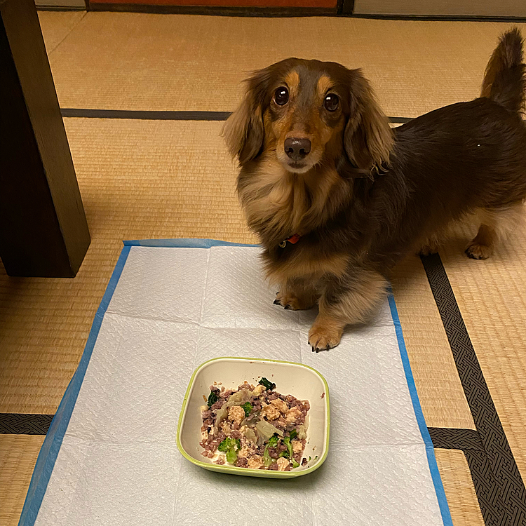 …が選り好みするため、飼い主に混ぜられ麻婆豆腐にされる🤣