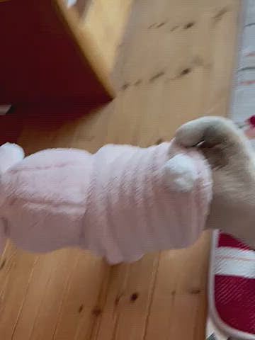 着ぐるみパーカー馴染ませてます☺️