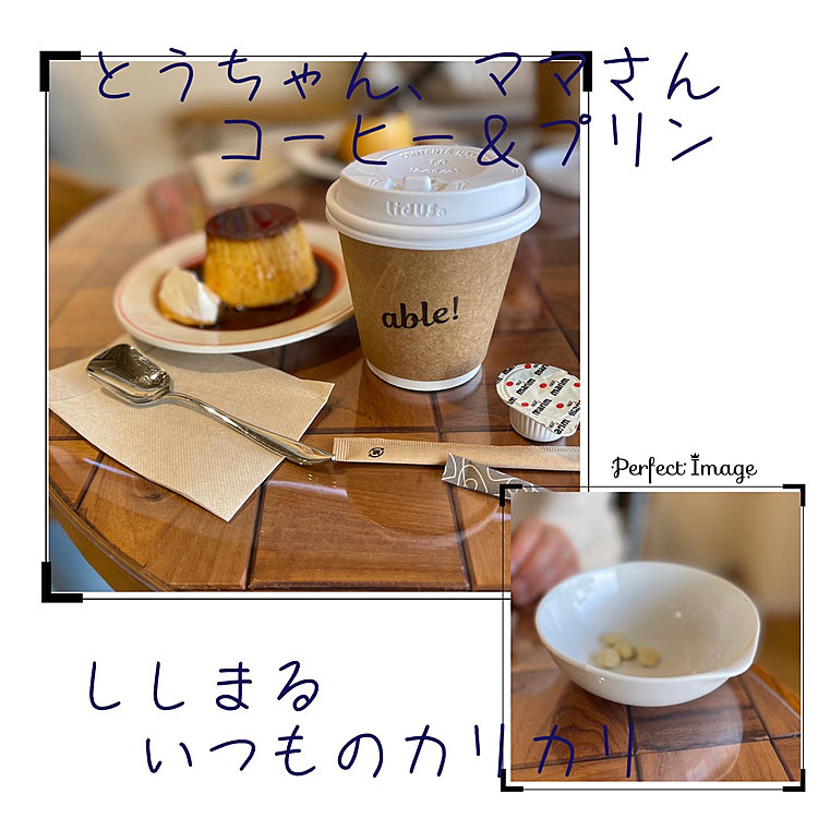 とうちゃん＆ママさん美味しいコーヒー＆プリン🍮
ししまる、やっぱりいつものカリカリです🤣