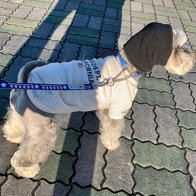今年もスヌードを着ける時期が来ましたよ！