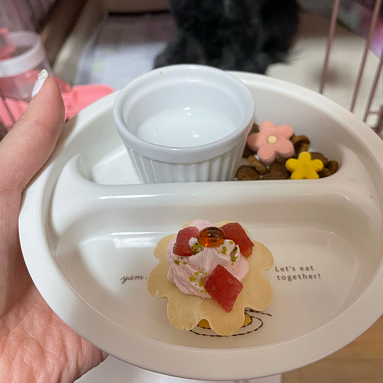 ちょっとだけ豪華なディナーです♪
ヤギミルク、ドッグフードお花のクッキー乗せ、イチゴのプチケーキ🎂
お腹壊しません様に😅