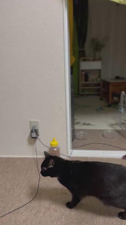 構えると落ち着く🤣