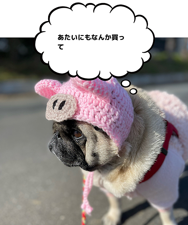 お昼にコンビニまでお買い物散歩👛
ブタさんニット帽で🐽まんまるコブタの出来上がり🐖