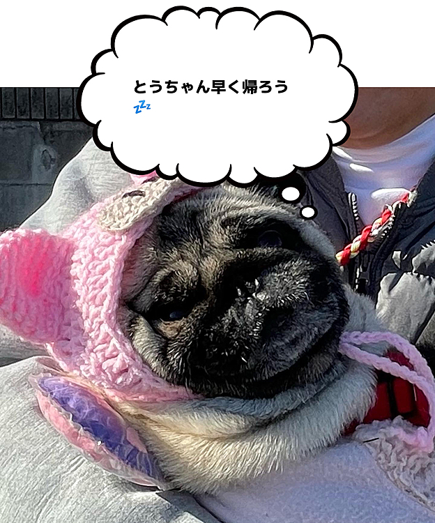 最後はとうちゃん抱っこでお帰りです😅